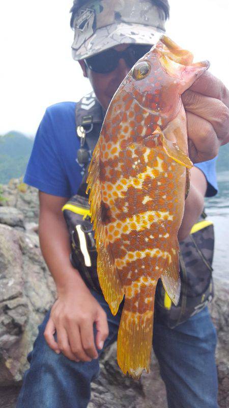 遠征その2。。。