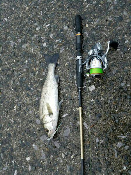 小規模河川増水パターン