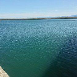 日中メバリング