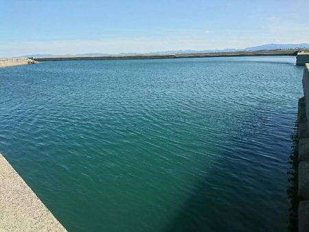 日中メバリング