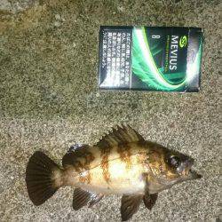 強風メバリング