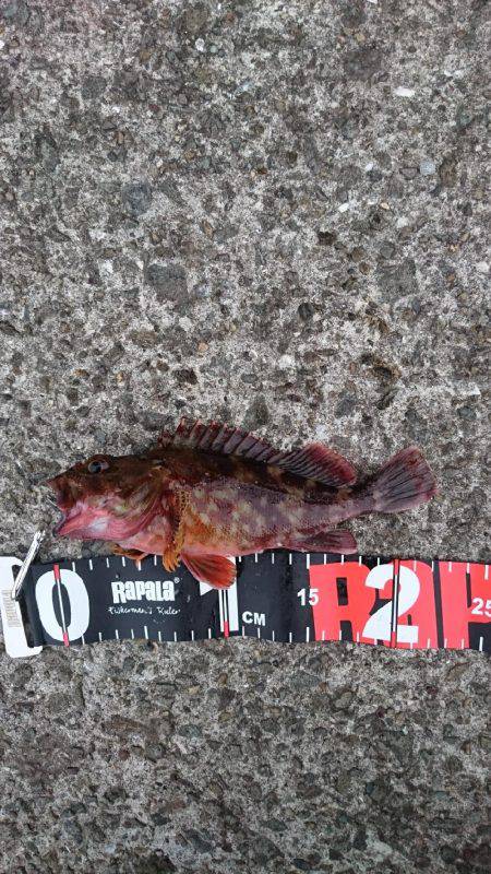 ただ投げたくて