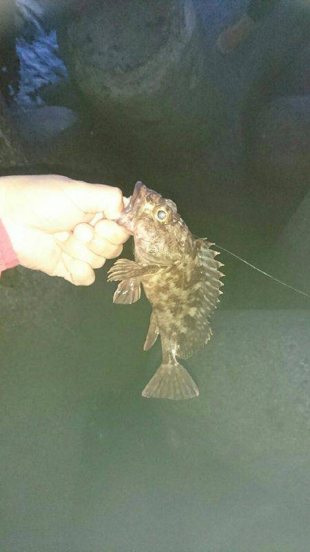 初めての穴釣り