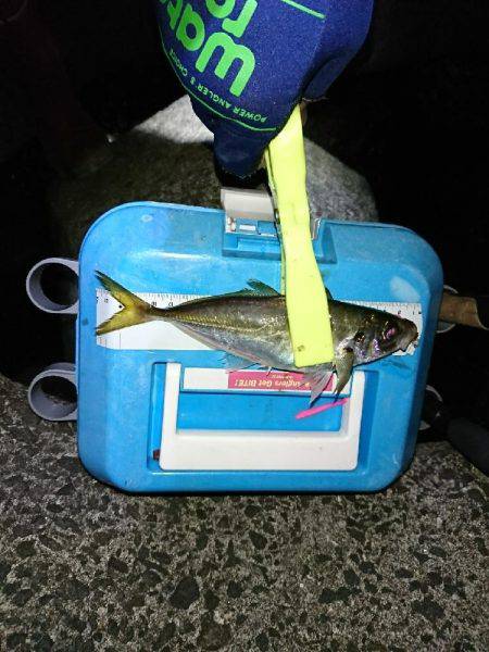 サーフのライトゲーム