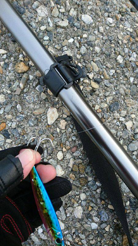 ショアジギング