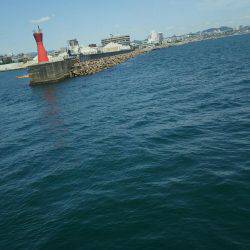 サイトフィッシング!デイライトゲームで5目達成♪