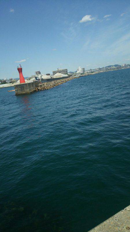 サイトフィッシング!デイライトゲームで5目達成♪