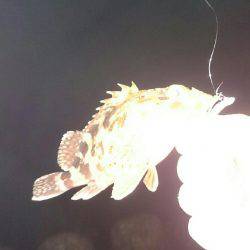 雨上がりライトゲーム