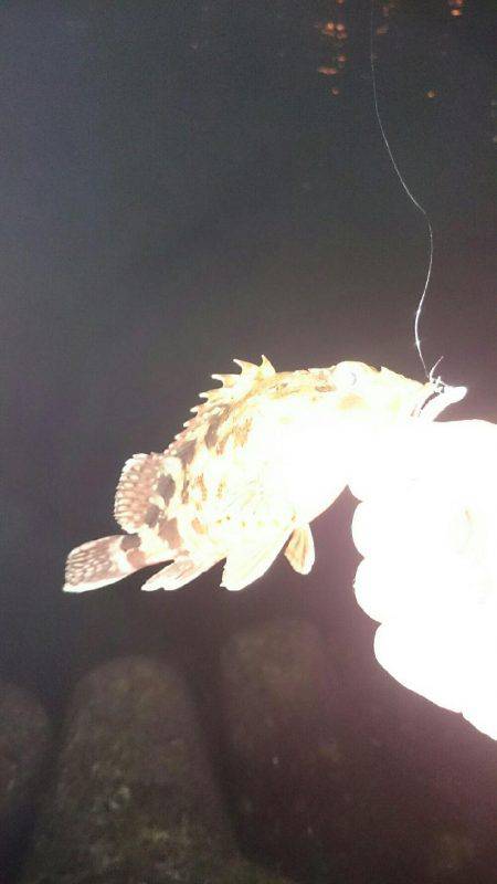 雨上がりライトゲーム