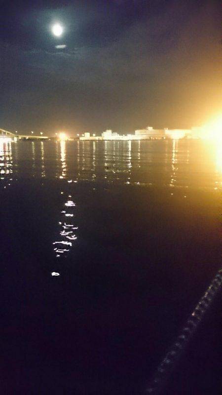 デビルズナイト