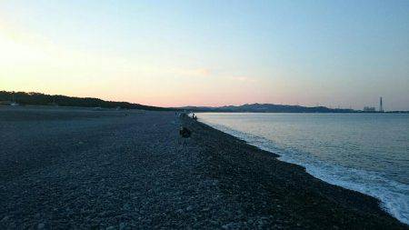 青物狙いでしたが不発