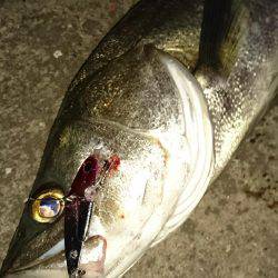 本命……悪戦苦闘……のはずが