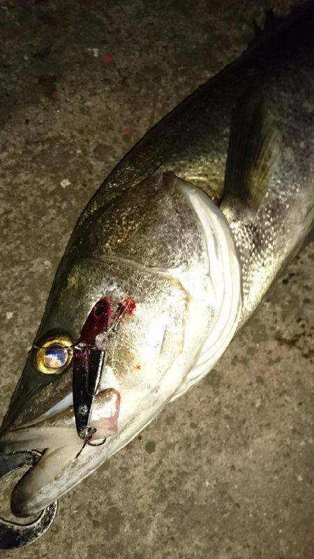 本命……悪戦苦闘……のはずが