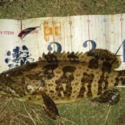 珍しいお客様が……！！(゜ロ゜ノ)ノ