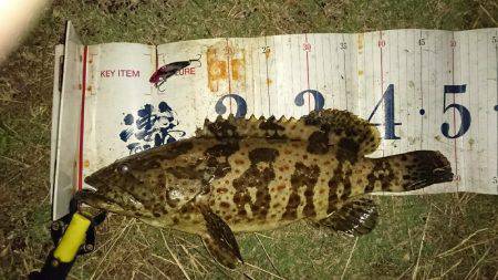 珍しいお客様が……！！(゜ロ゜ノ)ノ