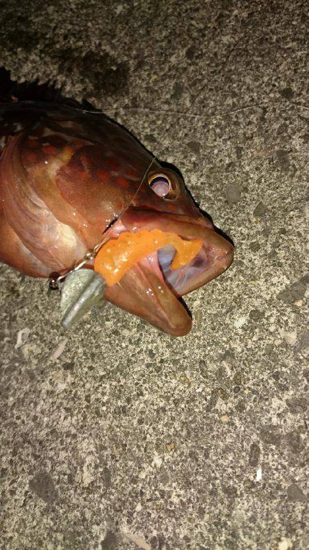 試したかった事……