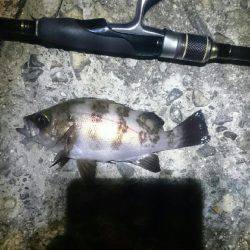 そんなに甘くない