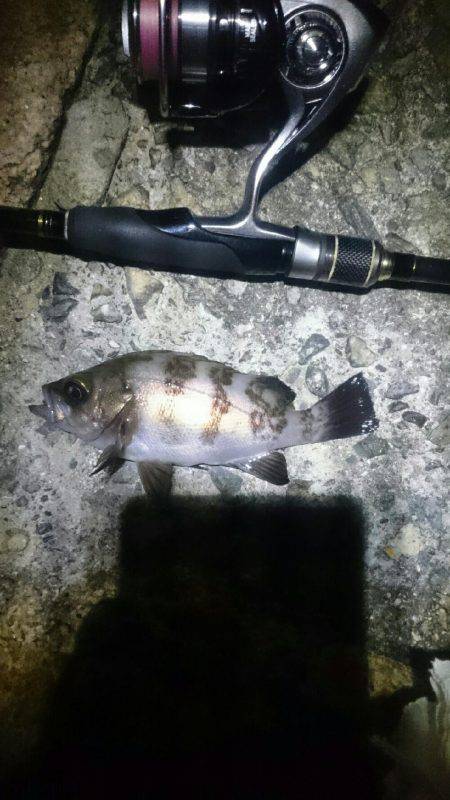 そんなに甘くない