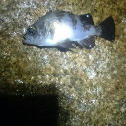 雨にも負けず。