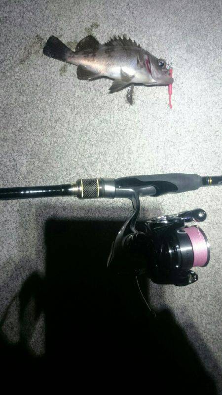 そろそろかな。