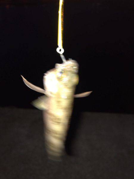 雷雨でずぶ濡れ!!メバリング