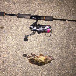 市内でガシリング！