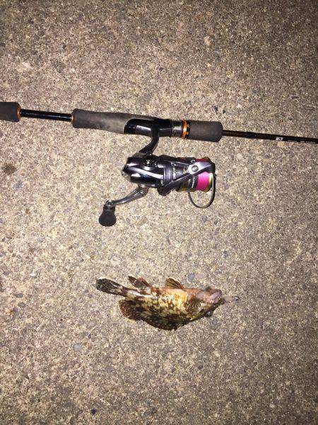 市内でガシリング！