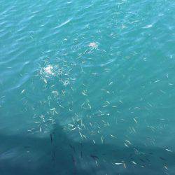 和歌山マリーナシティ大波止 内外