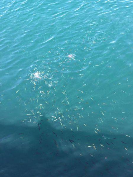 和歌山マリーナシティ大波止 内外