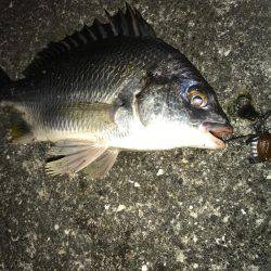 絶好調のリバーゲーム