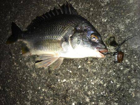 絶好調のリバーゲーム