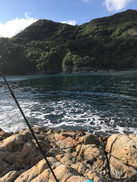初島根上陸
