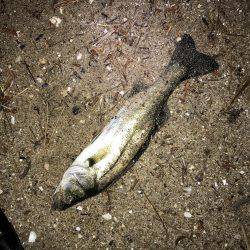 だんだん小さくなっていく