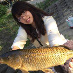 ダイソー釣具でカープフィッシング★