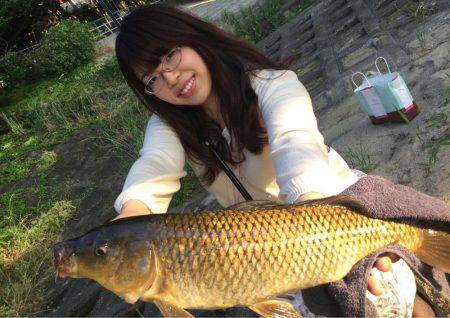 ダイソー釣具でカープフィッシング★