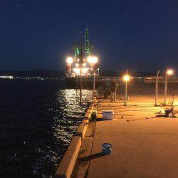 もう、勘弁して下さい！