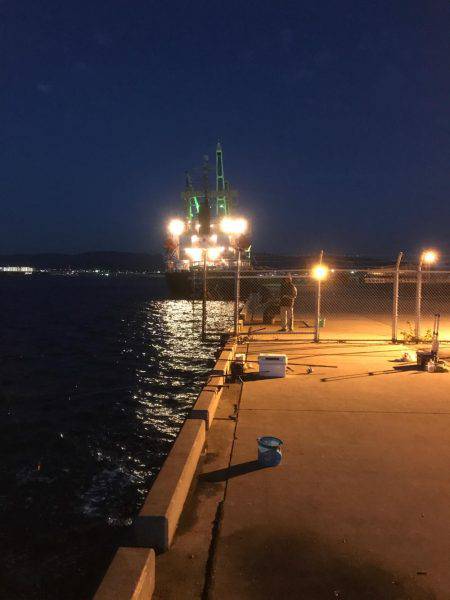 もう、勘弁して下さい！