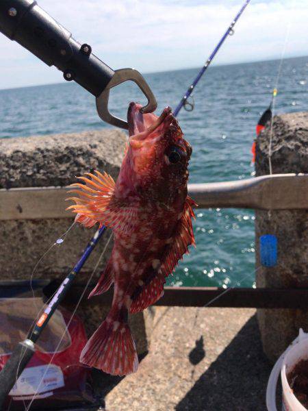 終わりよければ全てよし？