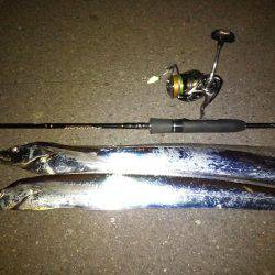 サーべリング♪