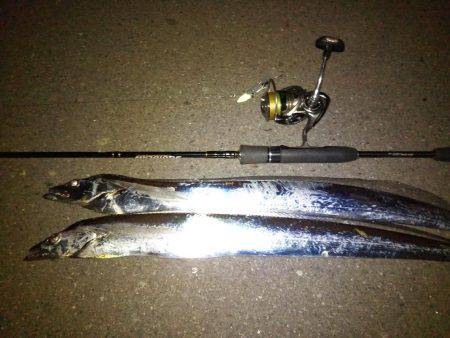 サーべリング♪