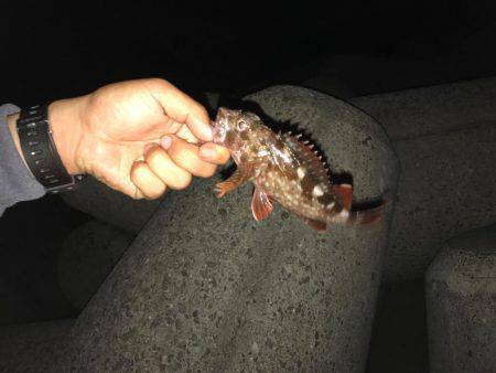 強風の為穴釣り