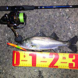 名古屋港ナイトゲーム