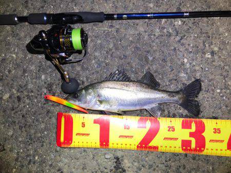 名古屋港ナイトゲーム