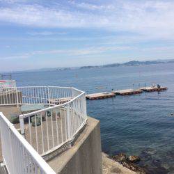 ハマチを求めて、、、のはずが。