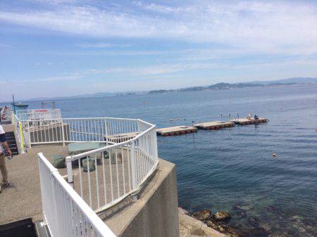 ハマチを求めて、、、のはずが。