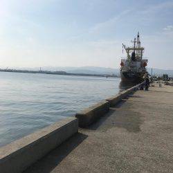 確率100パーセント釣れます！