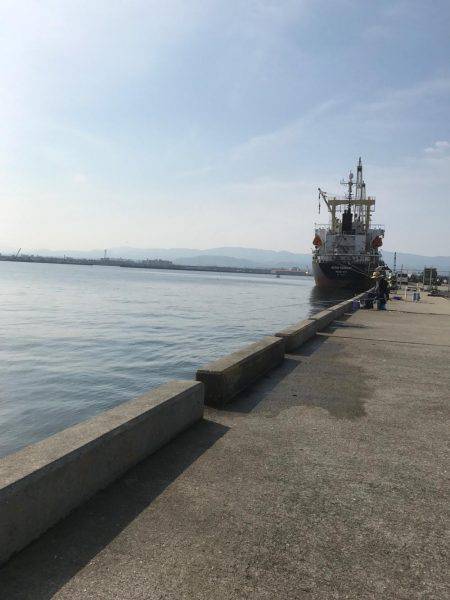 確率100パーセント釣れます！