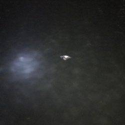 まだまだメバル健在！