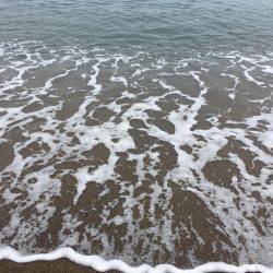 小さいけど釣れました。