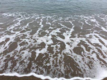 小さいけど釣れました。